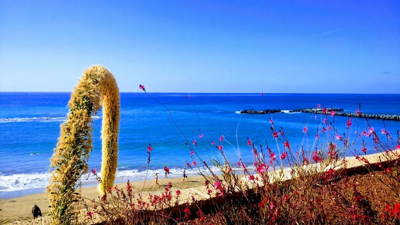 아데제 Adeje El Galeon Sea View 아파트