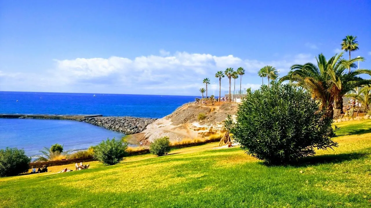 아데제 Adeje El Galeon Sea View 아파트